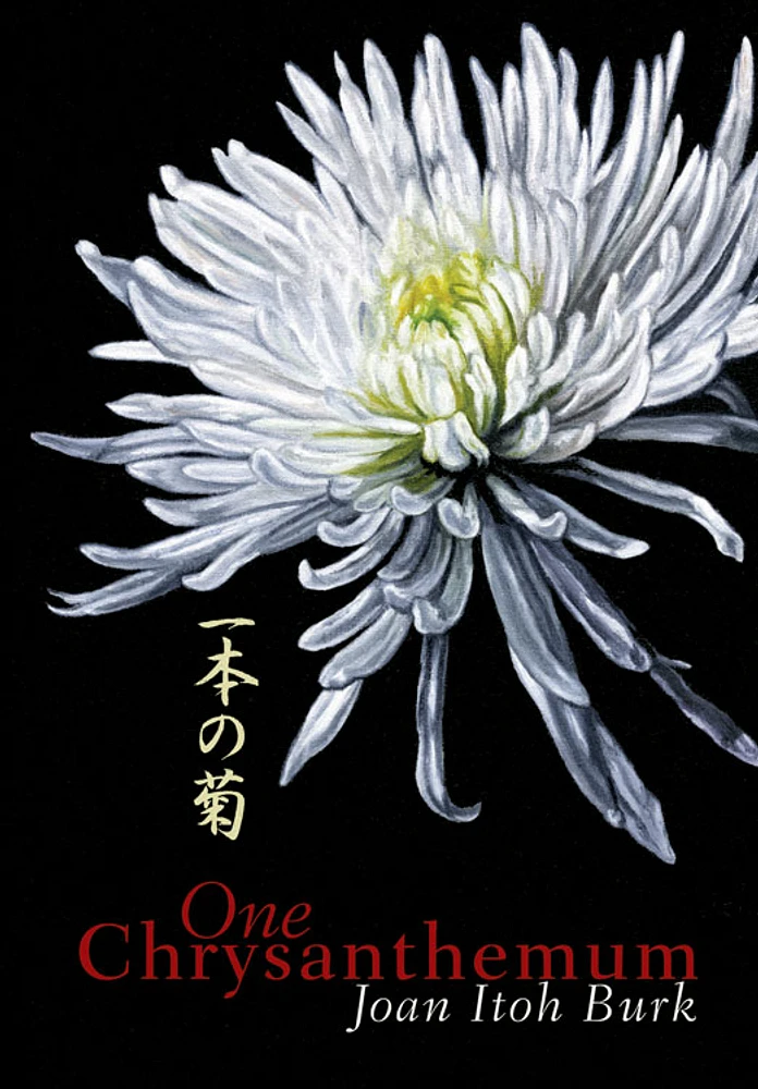 One Chrysanthemum