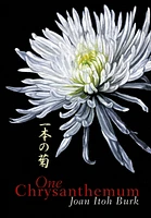 One Chrysanthemum