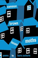 Common Brown House Moths