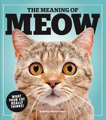 The Meaning of Meow