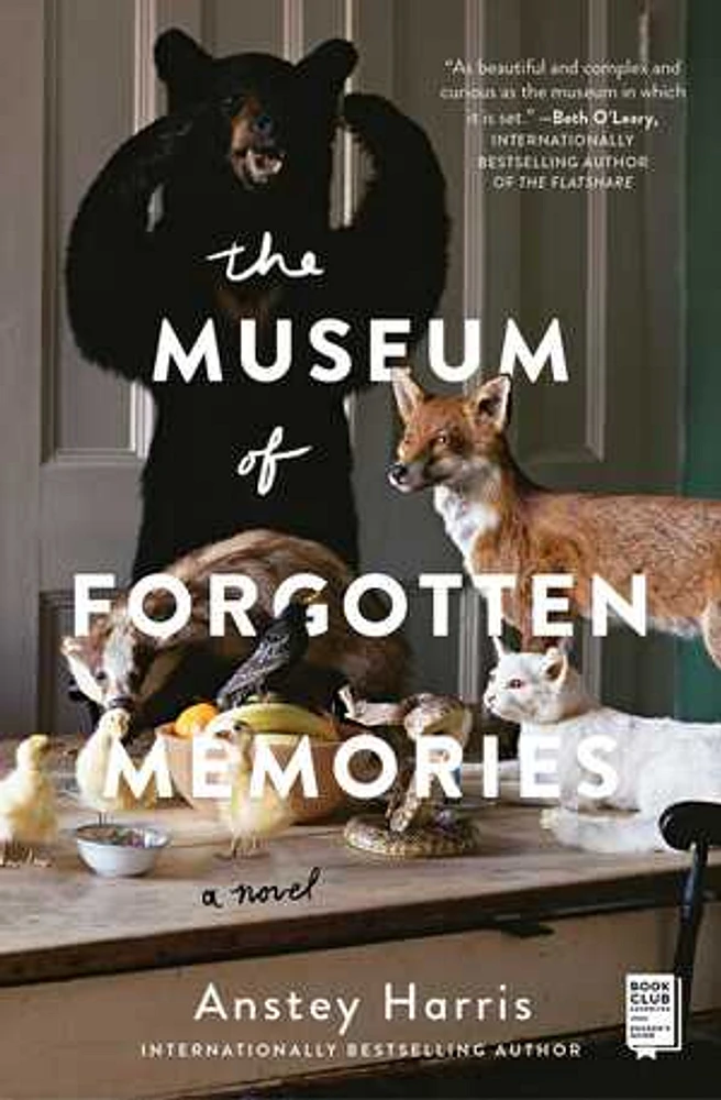 The Museum of Forgotten Memories