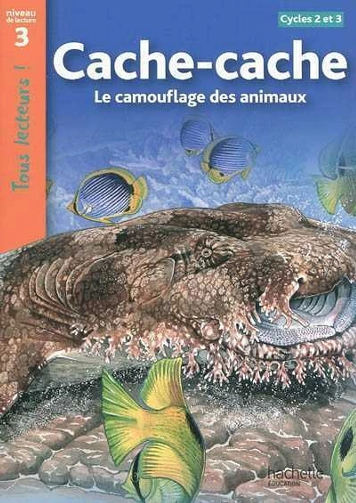 Cache-cache : le Camouflage des Animaux