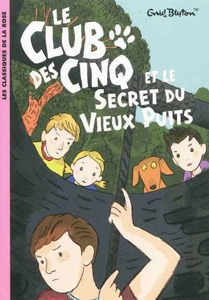 Le Club des Cinq et le secret du vieux puits