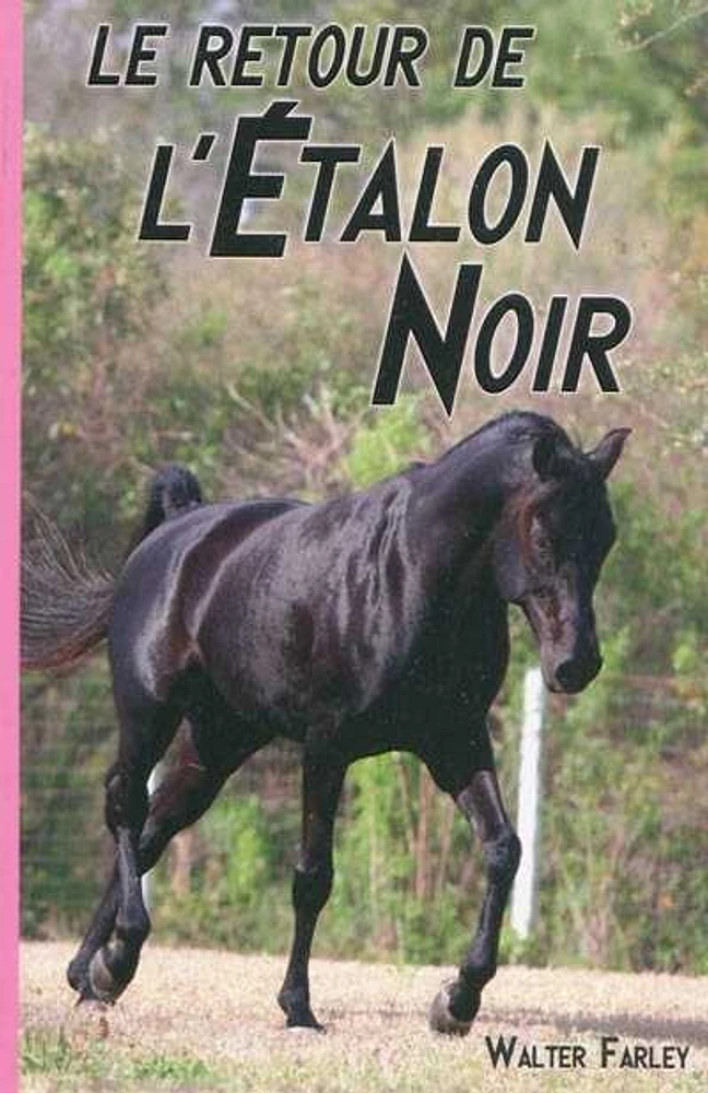 Le retour de l'étalon noir