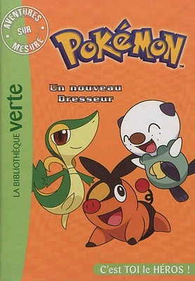 Pokémon T.2: Un nouveau dresseur