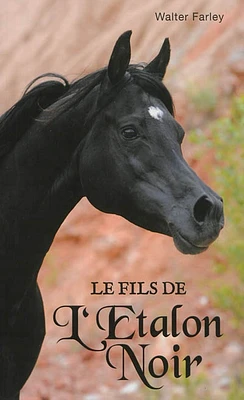 L'étalon noir T.3 : Le fils de l'étalon noir