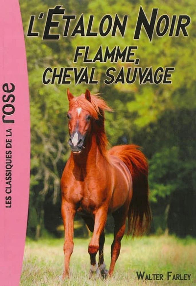 L'étalon noir T.10 : Flamme, cheval sauvage