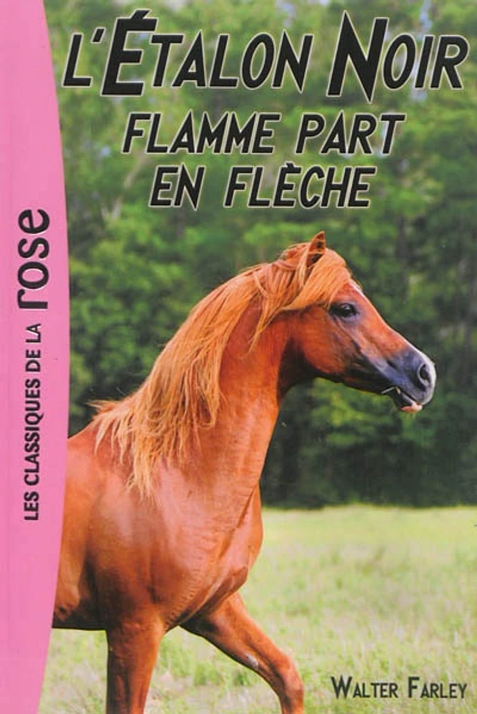 L'étalon noir T.12 : Flamme part en flèche