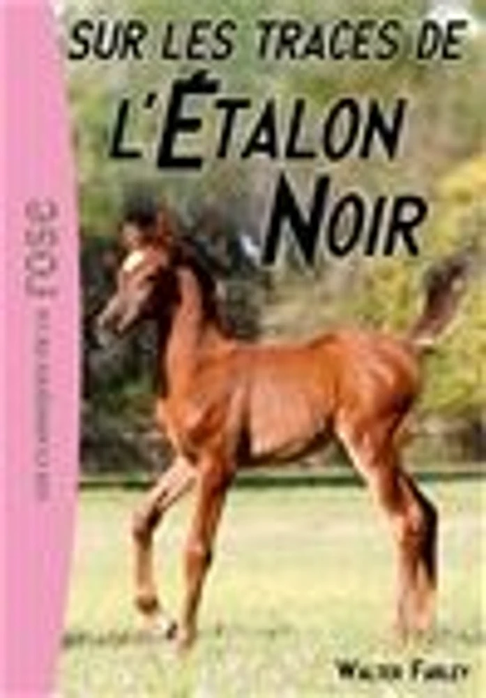 L'étalon noir T.7 : Sur les traces de l'étalon noir