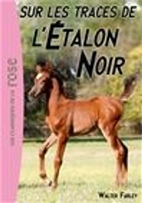 L'étalon noir T.7 : Sur les traces de l'étalon noir