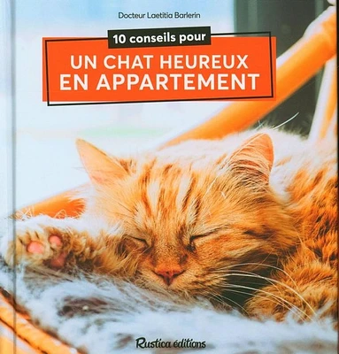 10 conseils pour un chat heureux en appartement