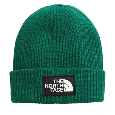 The North Face Logo Box Beanie Hat in Green, Acrylic