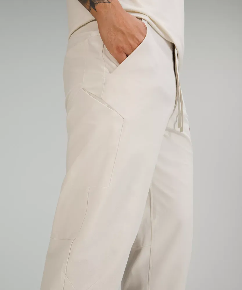 AE Flex Carpenter Pant