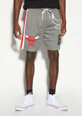 Gray Chicago Bulls Graphic Mesh Shorts