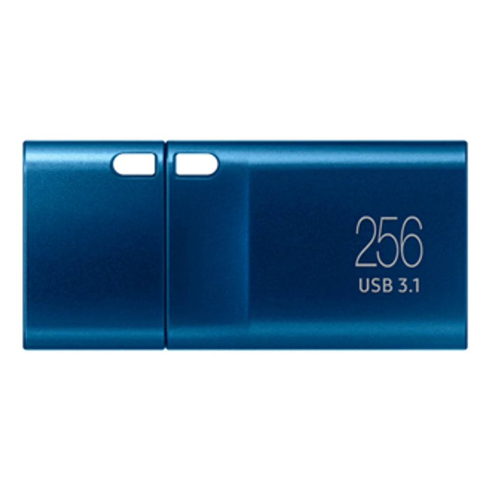 Samsung Type-C 256GB USB 3.2 Flash Drive | Samsung Canada