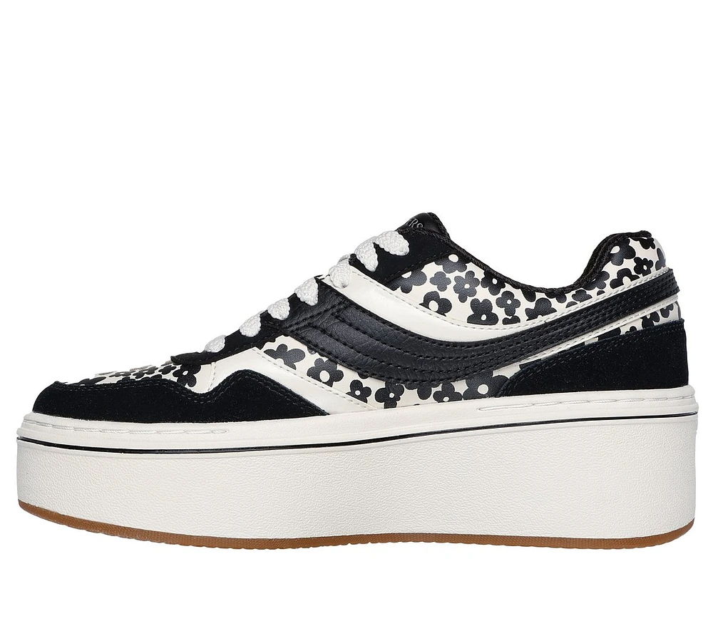 Paloma - Daring Daisy