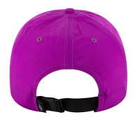 Skech-Shine Foil Baseball Hat