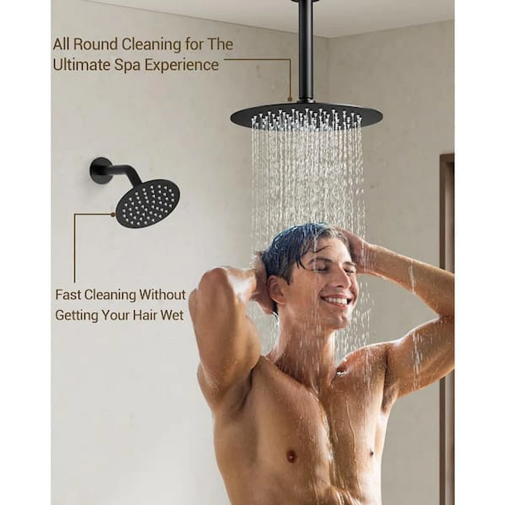 CRANACH 3-Spray 10 and 6 in. Dual Shower Heads Ceiling Mount and Handheld Shower  Head 2.5 GPM in Matte Black (Valve Included) | The Market Place