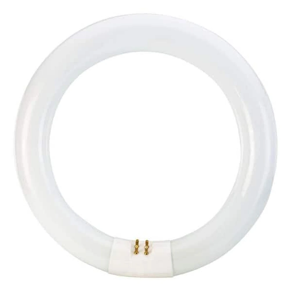 Philips 22-Watt 8 in. Linear T9 Circline Fluorescent Tube Light Bulb Bright White (3000K)