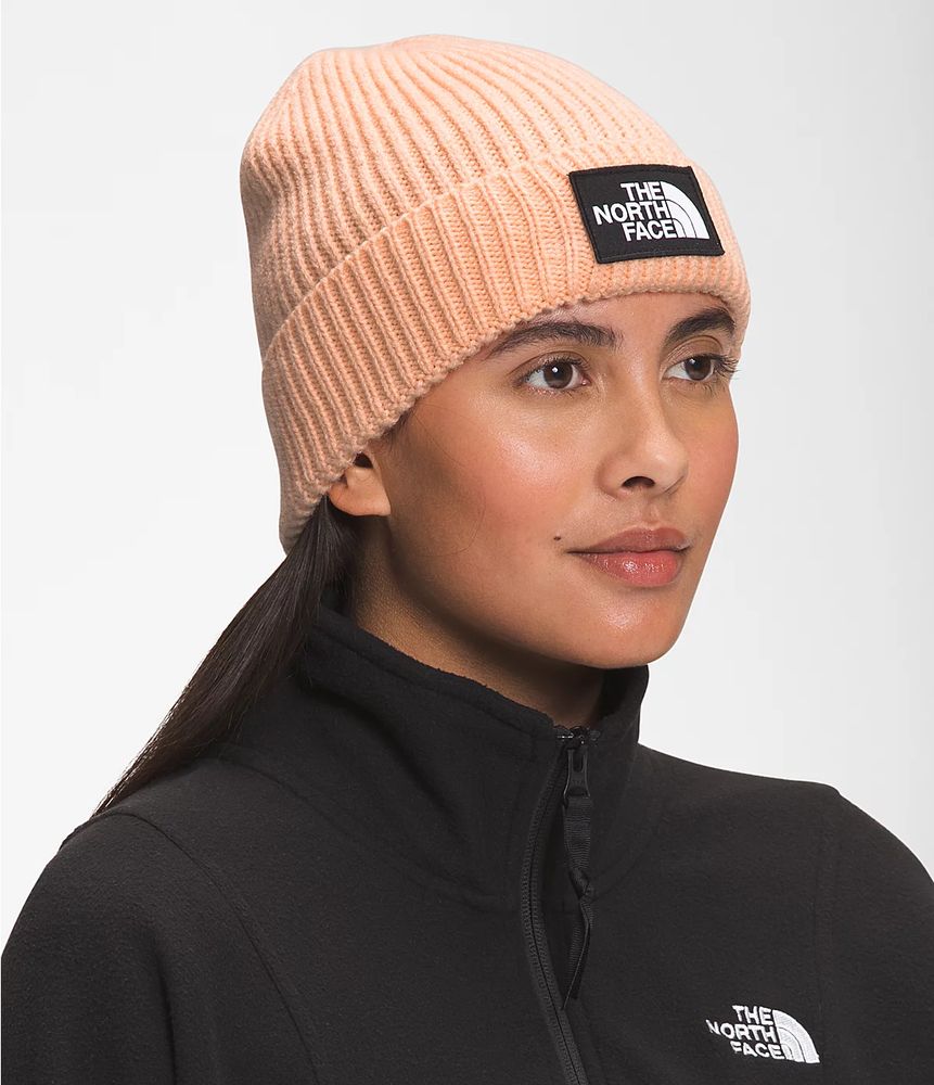 TNF Logo Beanie