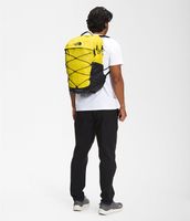 Borealis Backpack | Free Shipping The North Face