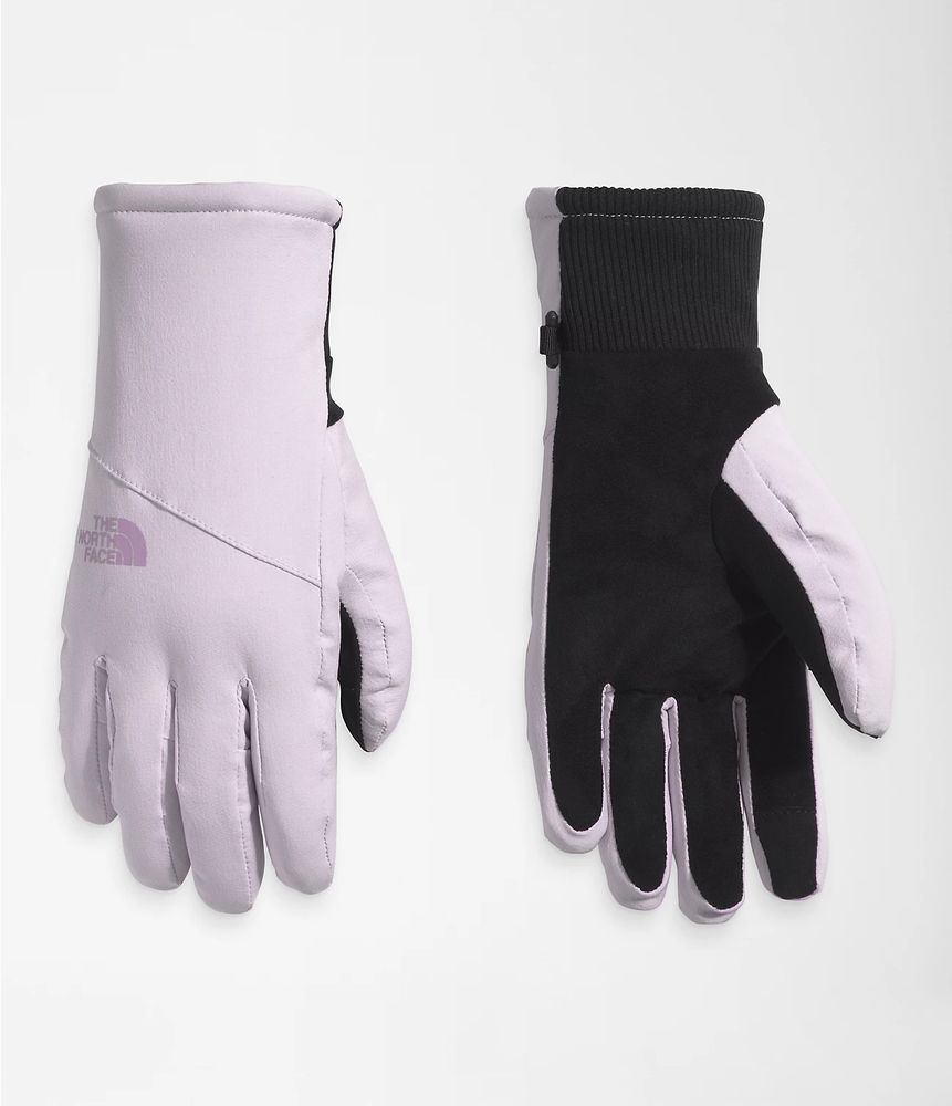 Women’s Shelbe Raschel Etip™ Gloves | The North Face