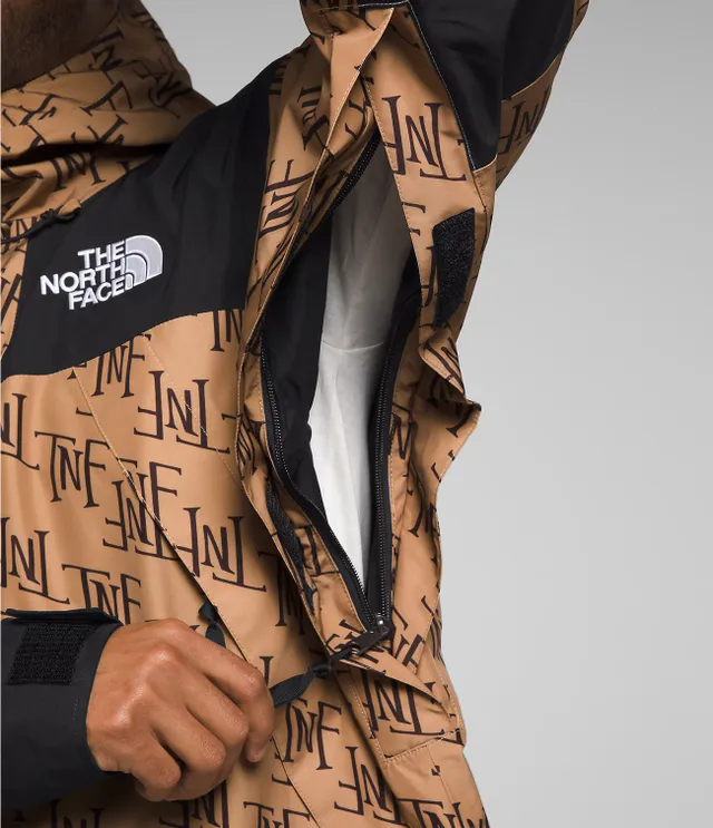 Supreme The North Face Mountain Light Jacket Leaves