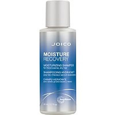 Joico Travel Size Moisture Recovery Shampoo