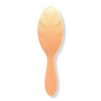 Wet Brush Go Green Coconut Oil Infused Treatment & Shine Brush