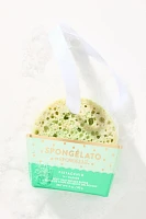 Spongellé Spongelato Body Wash Buffer