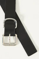 Multi Ring Skinny Belt