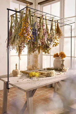 Over-the-Table Trellis