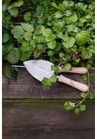 Sneeboer x Piet Oudolf Trowel + Hoe Gift Set
