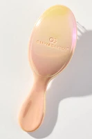 Olivia Garden Cotton Candy Mini Detangler Hair Brush