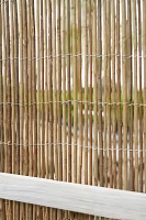 Willow Privacy Fence Panel