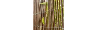 Willow Privacy Fence Panel