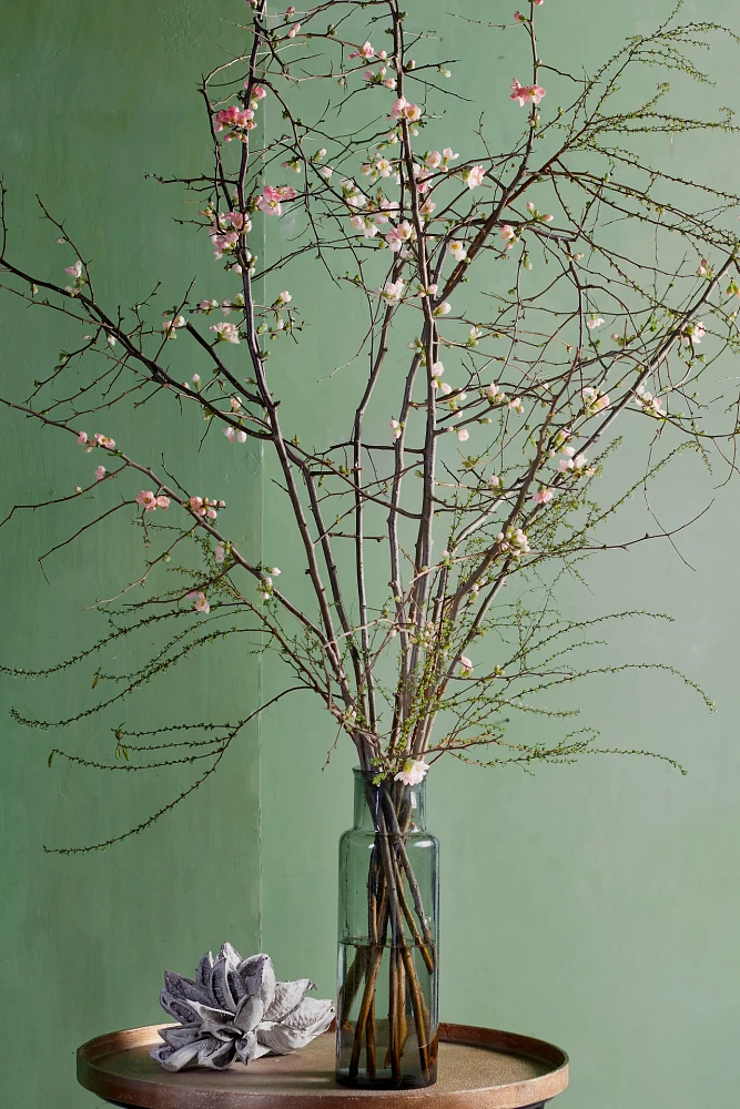 Quince Branches