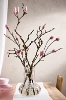 Tulip Magnolia Branches