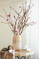 Tulip Magnolia Branches