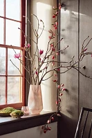 Tulip Magnolia Branches