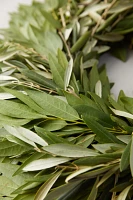 Fresh Ruscus + Olive Leaf Wreath