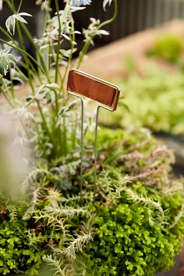 Copper Plant Markers, Horizontal