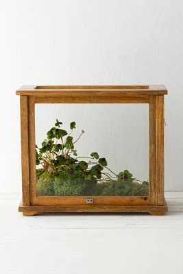 Specimen Case Terrarium