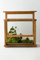 Specimen Case Terrarium