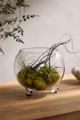 Elevated Fishbowl Terrarium