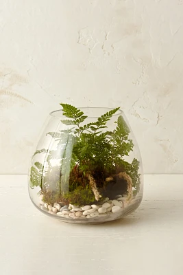 Polished Drop Terrarium