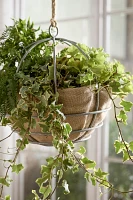 Water-Saving Natural Hanging Basket Liner