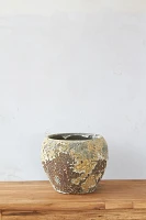 Barnacle Round Shoulder Pot