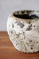 Barnacle Round Shoulder Pot