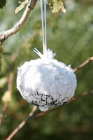 Bird’s Nest Building Cotton